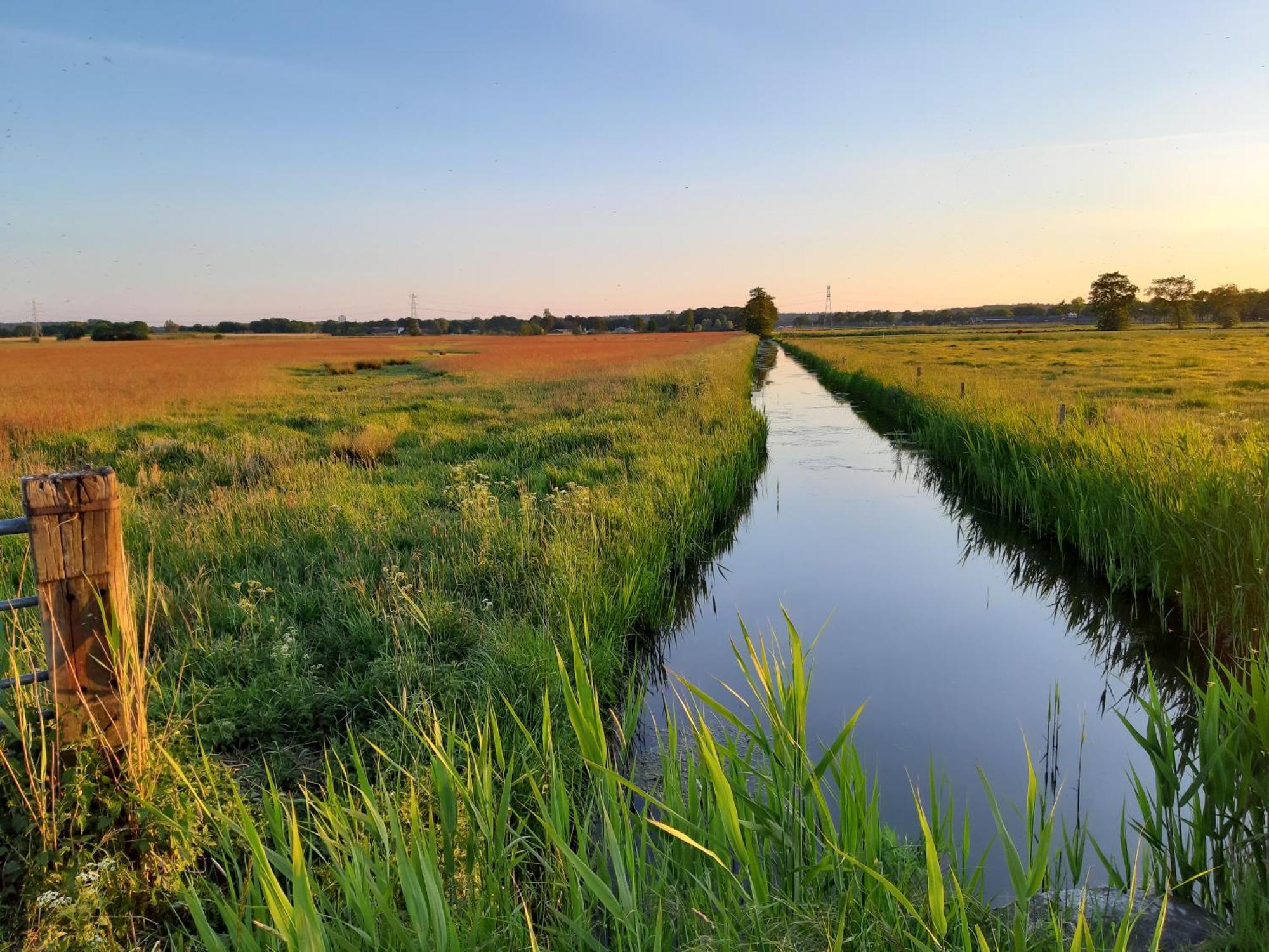 Short Stay Wageningen Luaran gambar